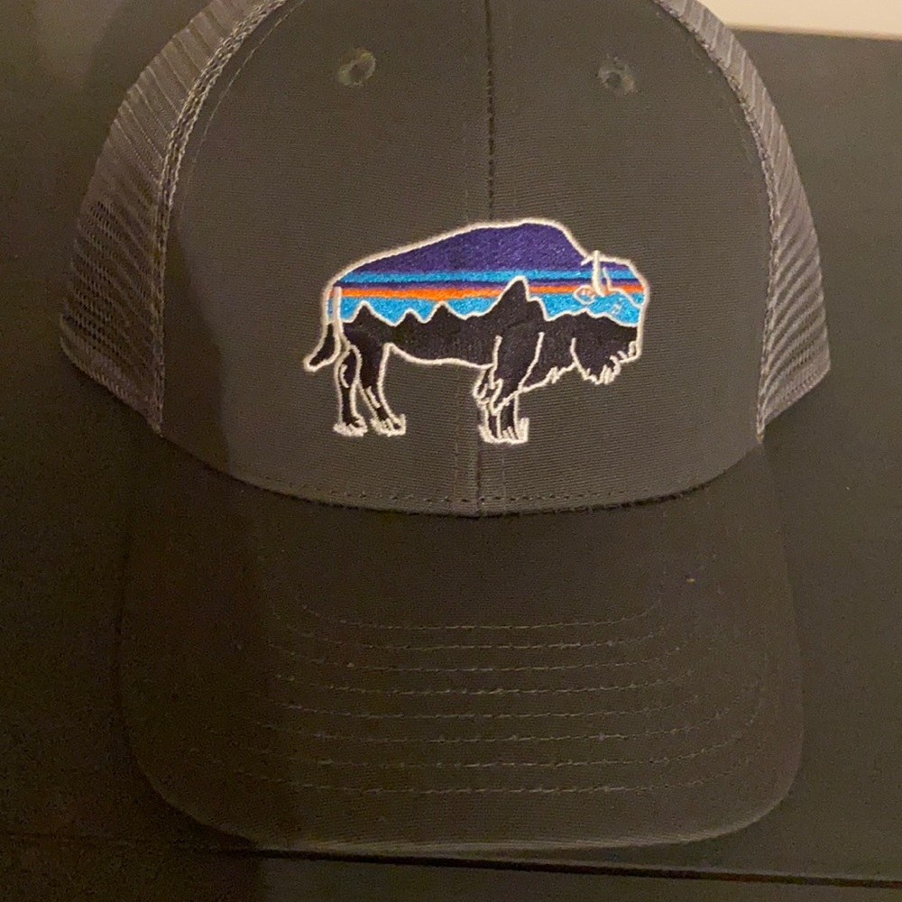 Patagonia hat